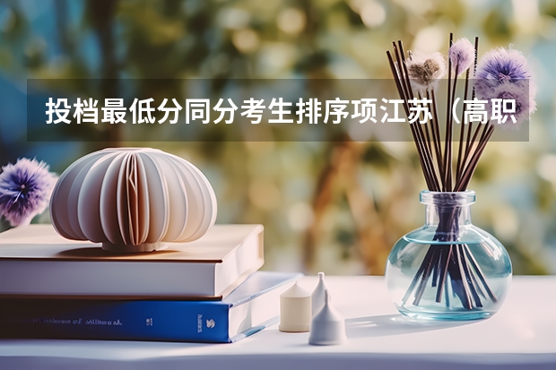 投档最低分同分考生排序项江苏（高职分平行排名）