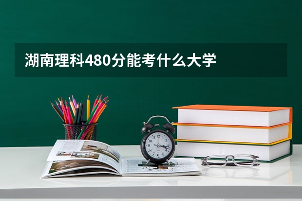 湖南理科480分能考什么大学