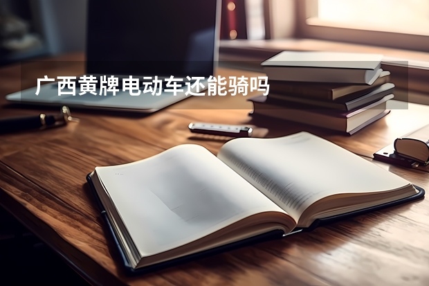 广西黄牌电动车还能骑吗