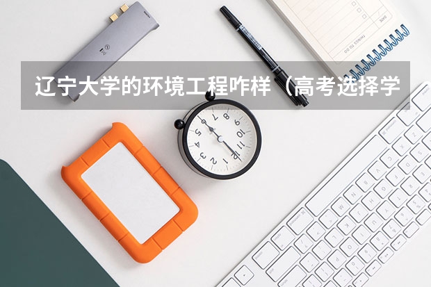 辽宁大学的环境工程咋样(高考选择学校和专业 我500左右 辽宁的)