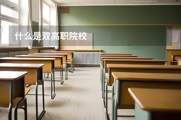 什么是双高职院校