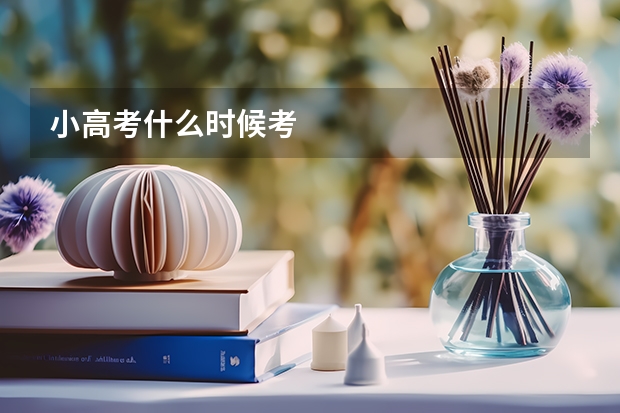 小高考什么时候考