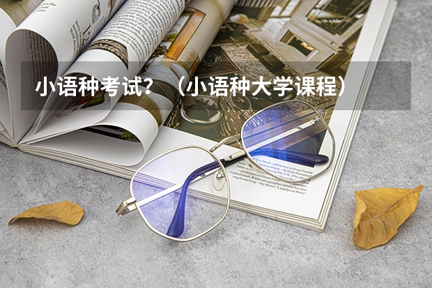 小语种考试?(小语种大学课程)