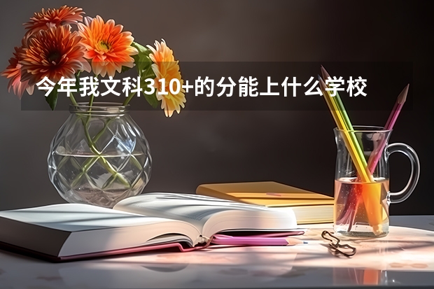 今年我文科310+的分能上什么学校?