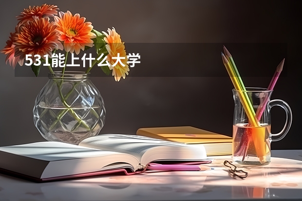 531能上什么大学