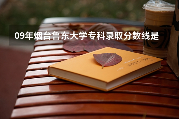 09年烟台鲁东大学专科录取分数线是多少