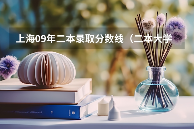 上海09年二本录取分数线（二本大学排名及分数线）
