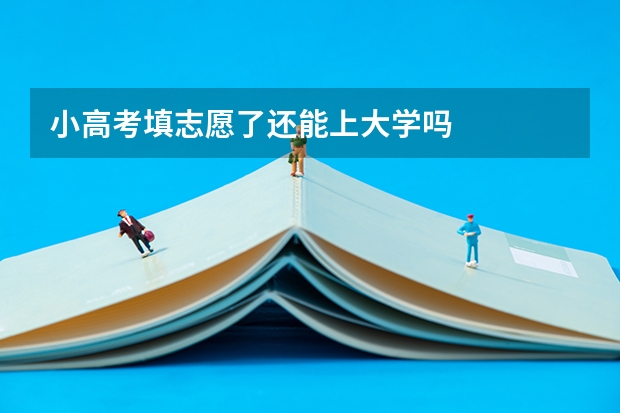 小高考填志愿了还能上大学吗
