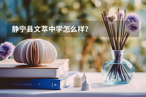 静宁县文萃中学怎么样?