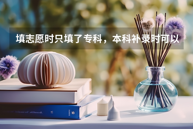 填志愿时只填了专科，本科补录时可以填吗？