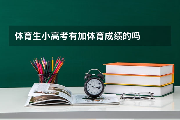 体育生小高考有加体育成绩的吗