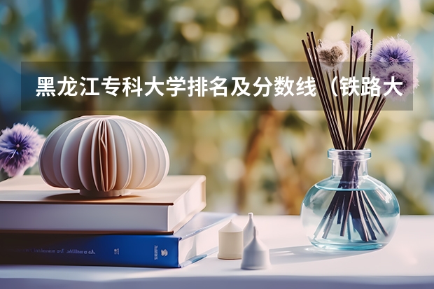 黑龙江专科大学排名及分数线（铁路大学排名及分数线）