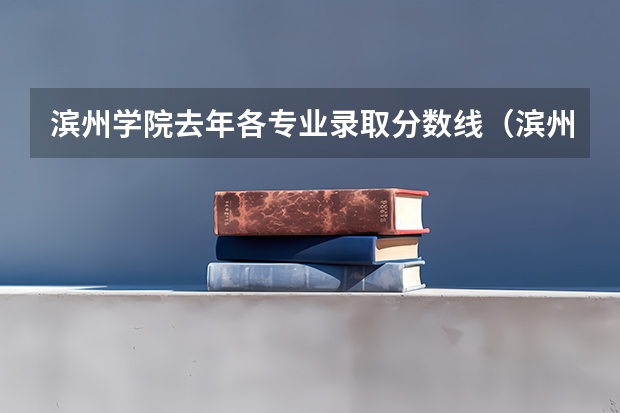 滨州学院去年各专业录取分数线（滨州学院专科分数线）