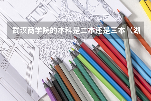 武汉商学院的本科是二本还是三本（湖北武汉大专分数线）