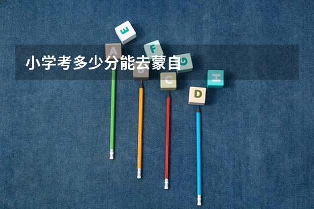 小学考多少分能去蒙自