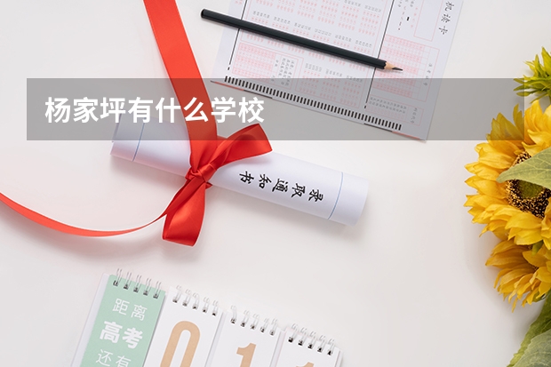 杨家坪有什么学校