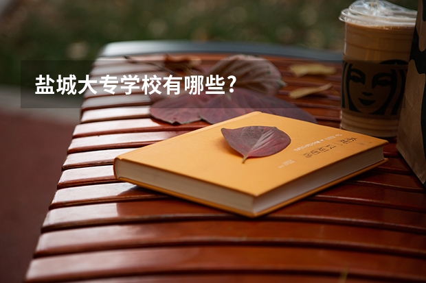 盐城大专学校有哪些?