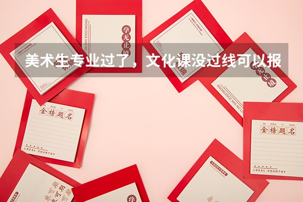 美术生专业过了，文化课没过线可以报二本吗