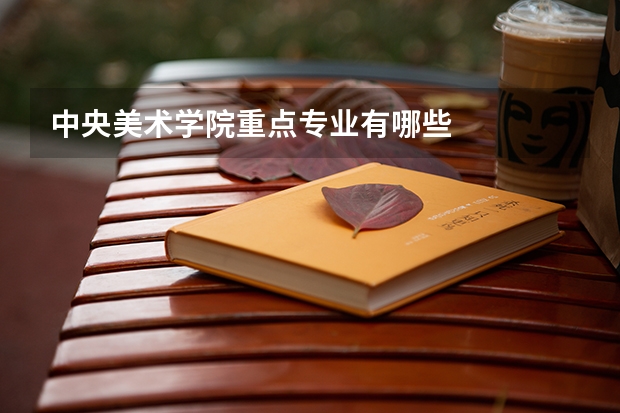 中央美术学院重点专业有哪些