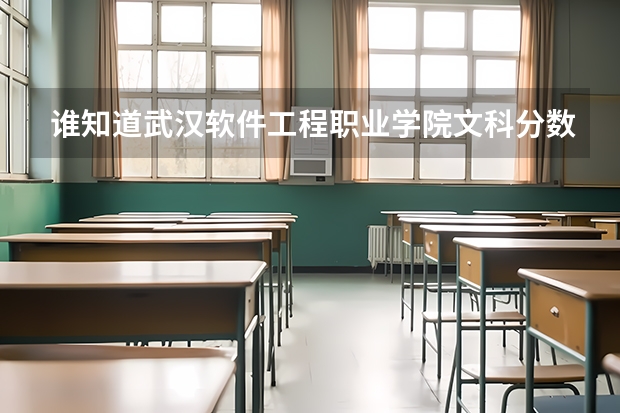 谁知道武汉软件工程职业学院文科分数线多少，还有到15年 .16年会降？