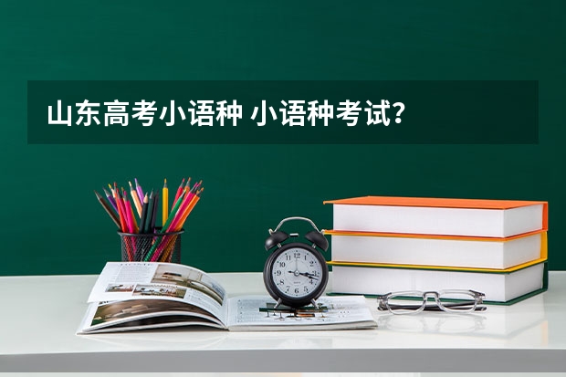 山东高考小语种 小语种考试?