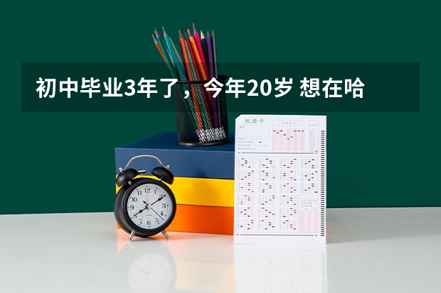 初中毕业3年了，今年20岁 想在哈尔滨上个大专除了电大。还有能上的吗 ？