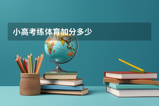 小高考练体育加分多少