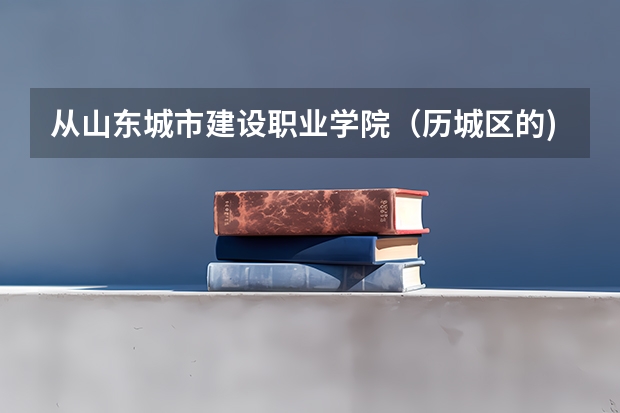 从山东城市建设职业学院（历城区的)到段店车怎么走，要做几路车？