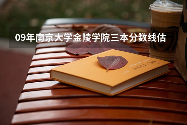 09年南京大学金陵学院三本分数线估计是多少？？