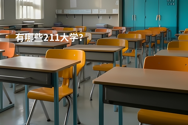 有哪些211大学？