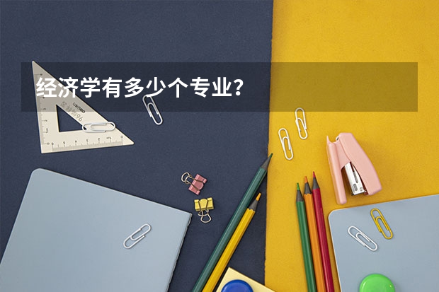 经济学有多少个专业？