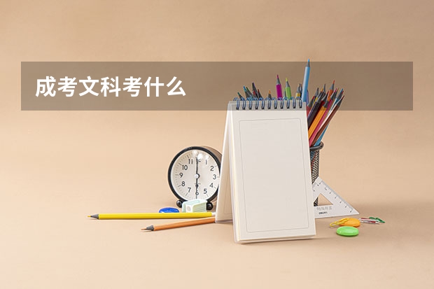 成考文科考什么