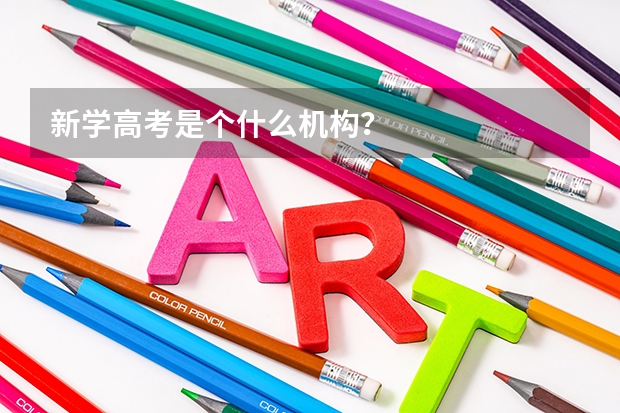 新学高考是个什么机构？