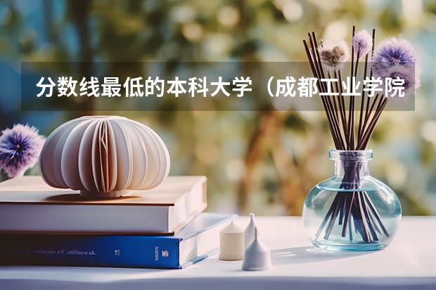 分数线最低的本科大学（成都工业学院宜宾校区2023录取分数线）