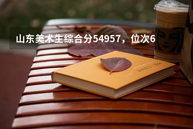 山东美术生综合分549.57，位次6696能报哪些好一点的学校？