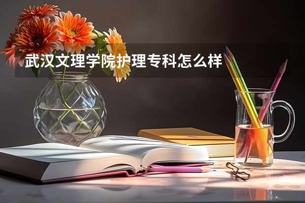 武汉文理学院护理专科怎么样