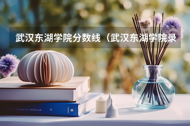 武汉东湖学院分数线（武汉东湖学院录取分数线）