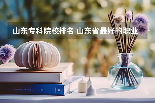 山东专科院校排名 山东省最好的职业学校排名