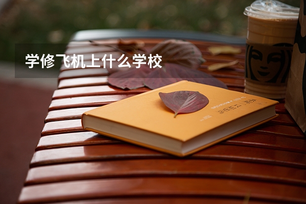 学修飞机上什么学校