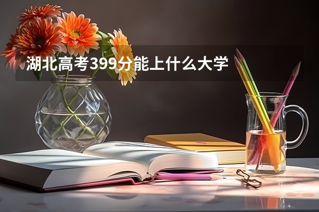 湖北高考399分能上什么大学