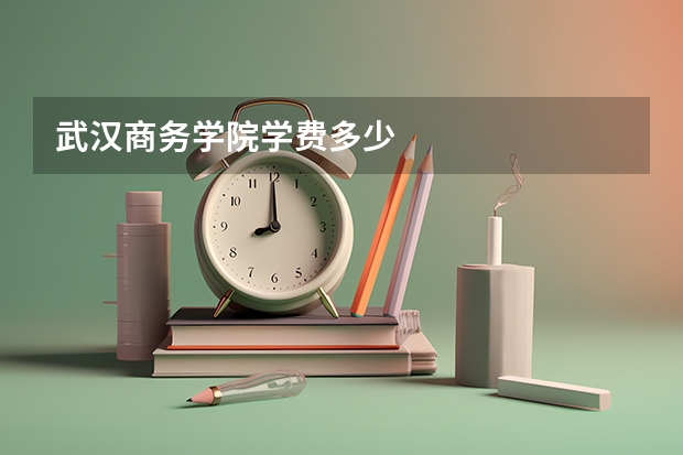武汉商务学院学费多少