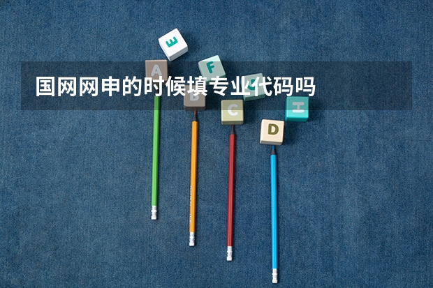 国网网申的时候填专业代码吗