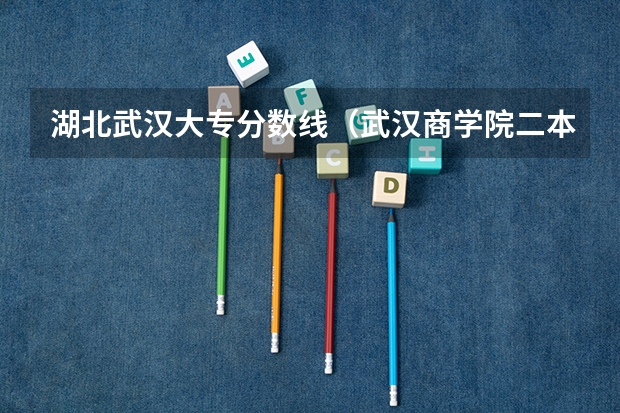 湖北武汉大专分数线（武汉商学院二本分数线）