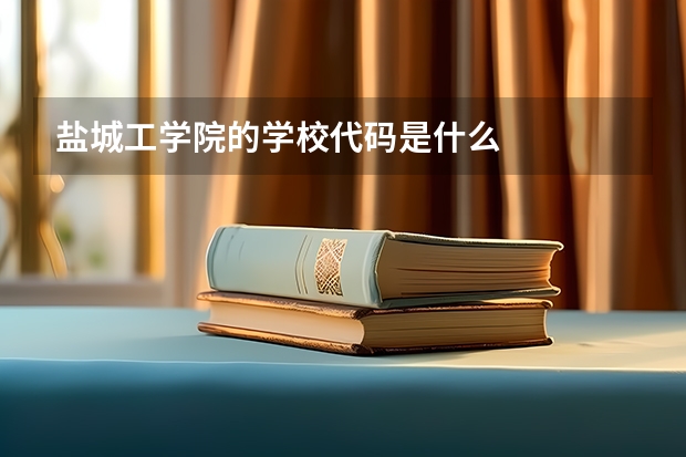 盐城工学院的学校代码是什么