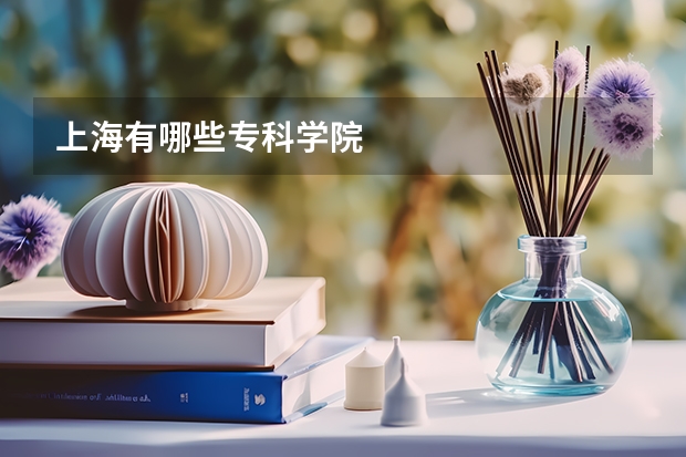 上海有哪些专科学院