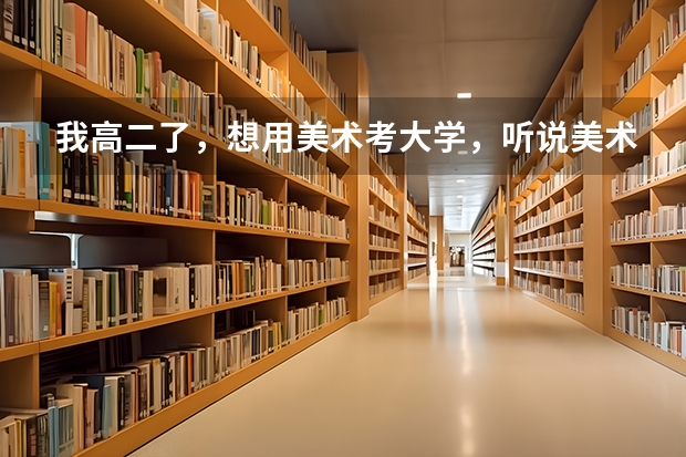 我高二了，想用美术考大学，听说美术要花费很多钱，到底是多少？