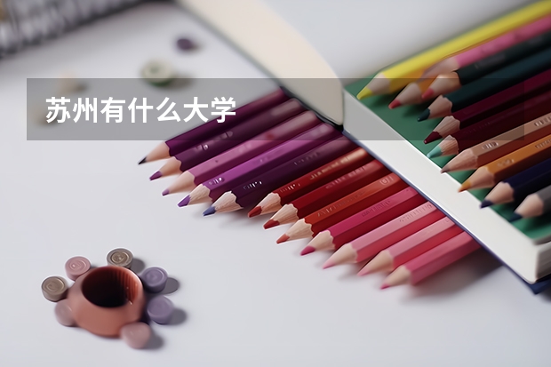 苏州有什么大学