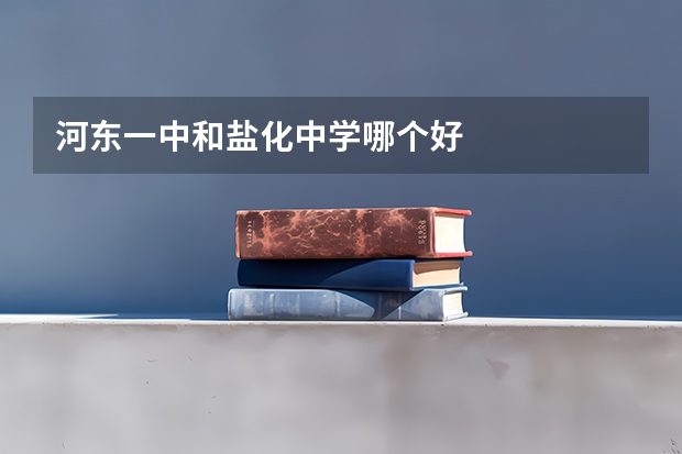 河东一中和盐化中学哪个好