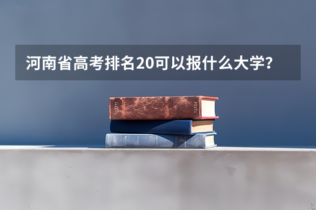 河南省高考排名20可以报什么大学?