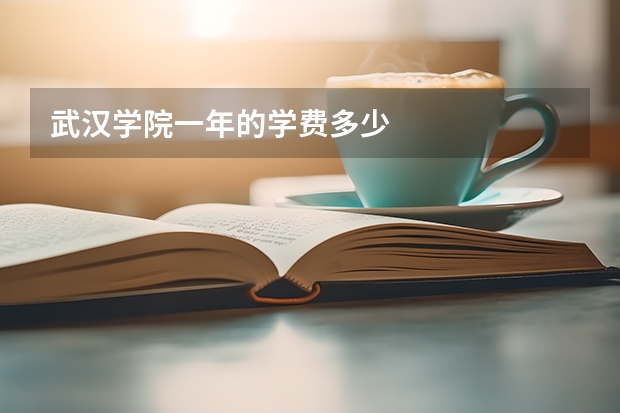 武汉学院一年的学费多少